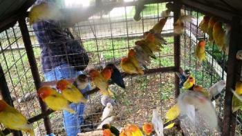 Polda Sumut Bongkar Sindikat Penjualan Satwa Langka