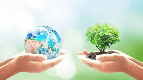 Dinas Lingkungan Hidup dan Upaya Menciptakan Lingkungan Daerah yang Sehat