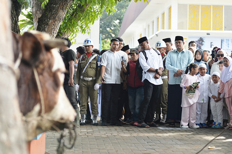 Bobby Nasution Sumbang 17 Sapi Kurban dengan Total Berat 11 Ton ke Masyarakat