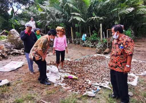 Imbas Terjangan Lahar Dingin Sinabung  Kebun Salak banyak yang Rusak, Ini yang Dilakukan Bupati Karo