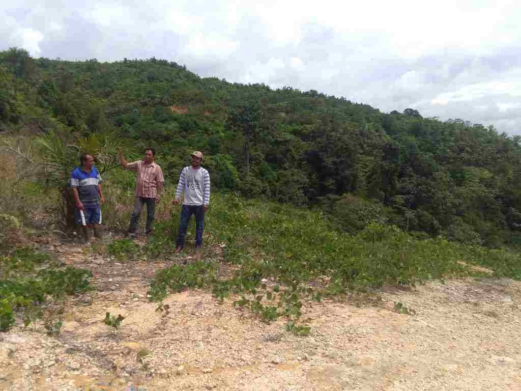 Diduga PT SSM Merambah Hutan Lindung Tormatutung Asahan 