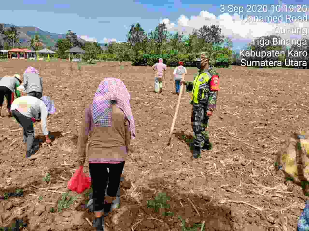 Tingkatkan Ketahanan Pangan Di Masa Pandemi Covid-19, Kodim 0205/Tanah Karo Terjunkan Babinsa