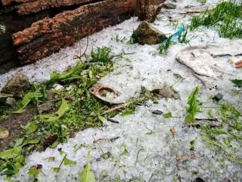 Pakpak Bharat Dilanda Hujan Es, Sejumlah Rumah Bocor dan Tanaman Rusak