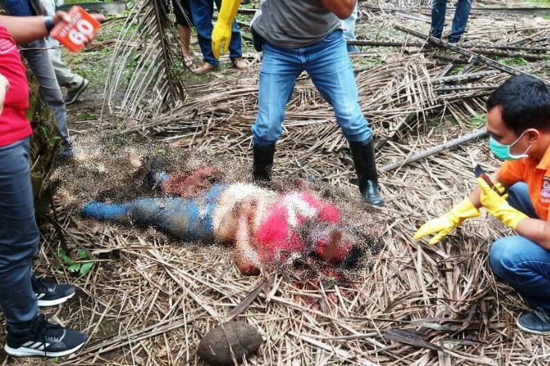 Mayat Perempuan Ditemukan di Areal Kebun Kelapa Sawit PT. LNK Padang Brahrang