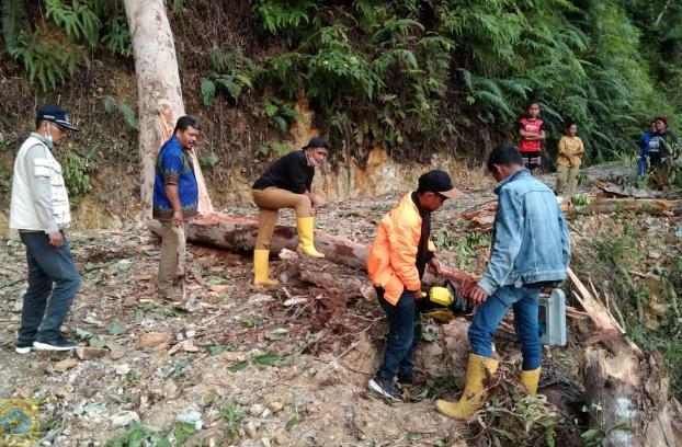 Pohon Tumbang Menutupi Jalan Lagan-Pagindar, BPBD Terjun ke Lokasi