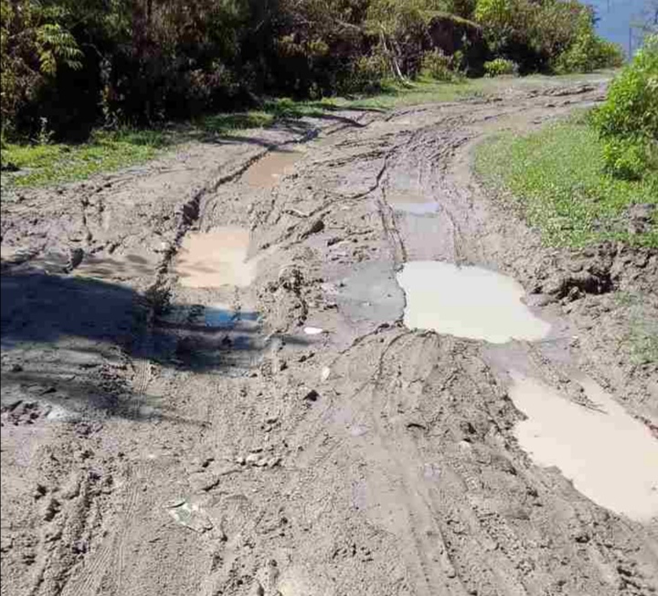Jalan Ke Batujagar Dusun 3 Desa Pardomuan Nauli Rusak, Diduga Akibat Lalulintas Pembangunan Proyek 