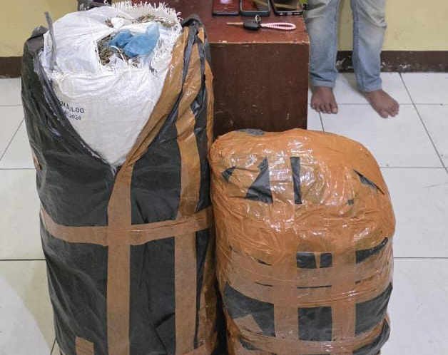 Polda Sumut Gagalkan Peredaran 20 Kg Ganja Asal Aceh, Tiga Tersangka Diamankan