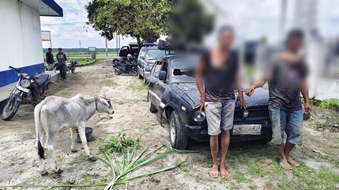 Dua Pencuri Anak Lembu di Simalungun Dibekuk Usai Kabur Pakai Sedan dan Tabrak Pemotor