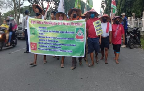 Serikat Petani Simalingkar Bersatu Berjalan Kaki Menuju Jakarta Sampai di Kisaran 