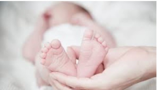 Ditreskrimum Polda Sumut Gagalkan Perdagangan Bayi, Ditawarkan Harga Rp 28 Juta