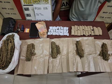 Satres Narkoba Polres Padang Lawas Tangkap Dua Pengedar Ganja, Ratusan Gram Barang Bukti Disita