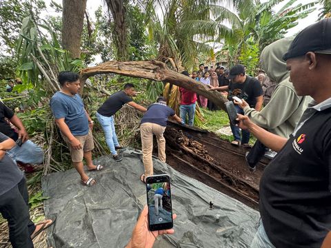 TULANG.jpg
