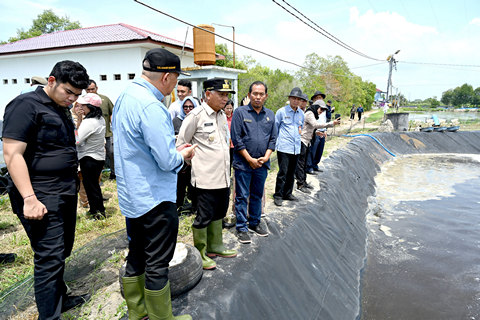 Tinjau UPTD BIAPAL Sialang Buah, Wagub Sumut Surya Dorong Peningkatan PAD Sektor Perikanan