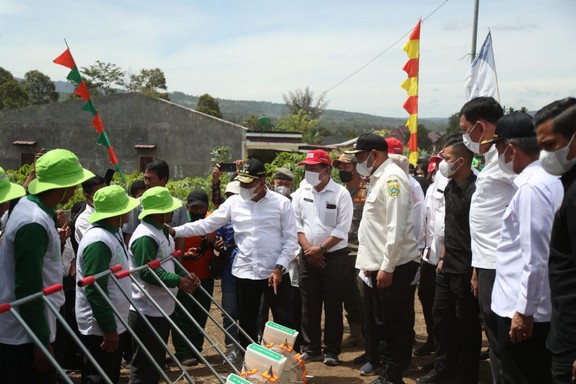 Kunjungan Kerja di Pakpak Bharat, Gubsu Tanam Perdana Jagung di Desa Traju