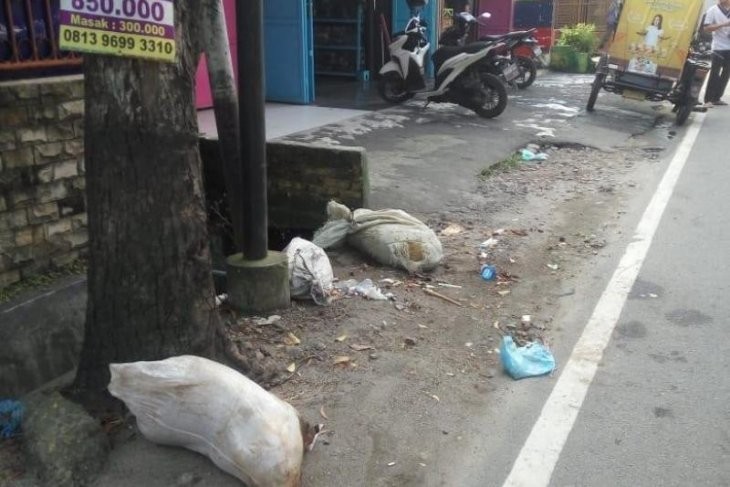 Bangkai Babi Dibuang di Jalanan Kota Medan