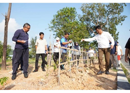 Pemko Batam Upayakan Kembali Rawat Pohon Jati Emas, Jadikan Batam Kota Hijau