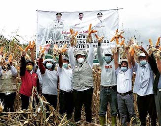 Panen Raya Jagung Nusantara, Bupati Dairi Puji Kelompok Tani, Saat Pandemi Tetap Produktif