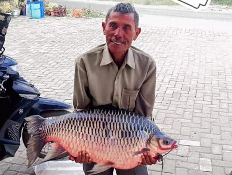 Rencana Mancing Ikan Mas, Pemancing Danau Toba ini Dapat Ikan Tawes 20 Kg di Paropo