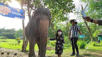 Libur Lebaran, 4000 Orang Kunjungi Medan Zoo