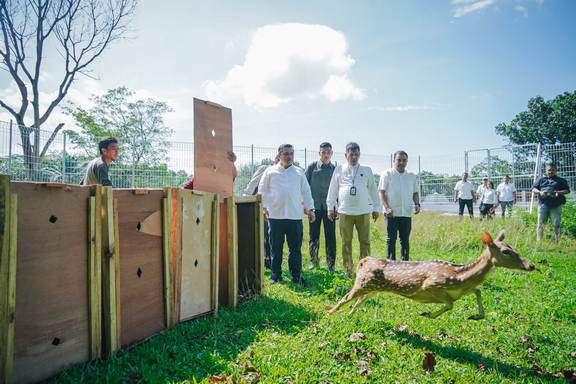 Kabar Gembira Wisatawan di Medan, Satwa Unik Taman Cadika Bertambah