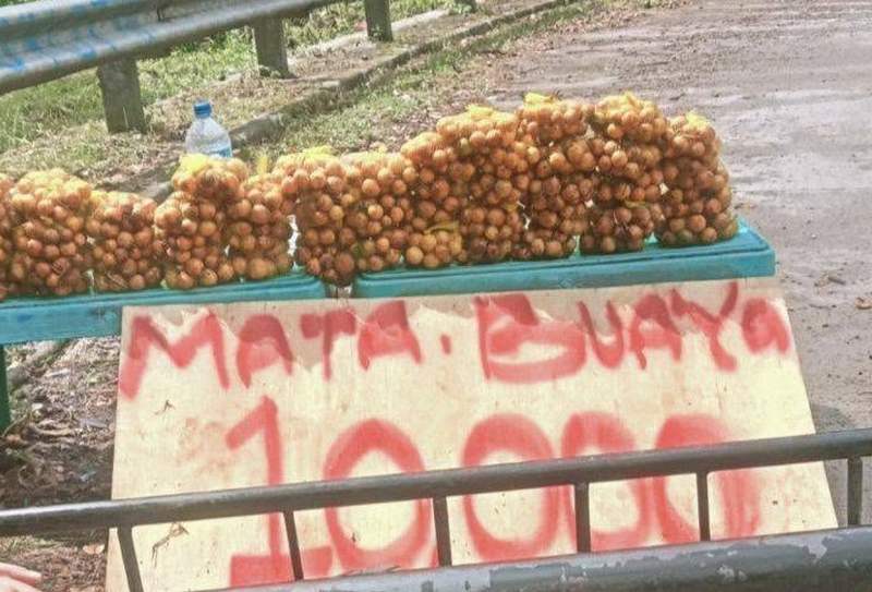 Bikin Ngakak! Niat Hati Cicipi Buah Eksotis Manis, Gadis Ini Malah Nangis Gara-gara Makan Kulitnya