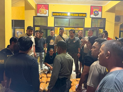 Tim Ditresnarkoba Polda Sumbar dan Polres Pasaman Barat Peredaran Narkotika, 30 Paket Ganja Kering