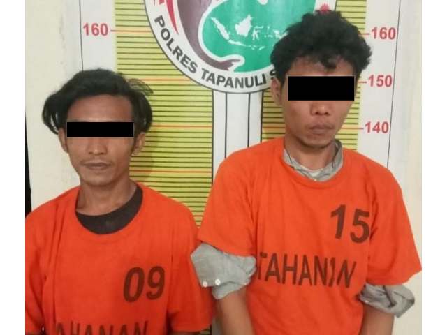 Sat Resnarkoba Polres Tapsel Gagalkan Peredaran 1,5 Kg Ganja, 2 Orang Pria Diamankan