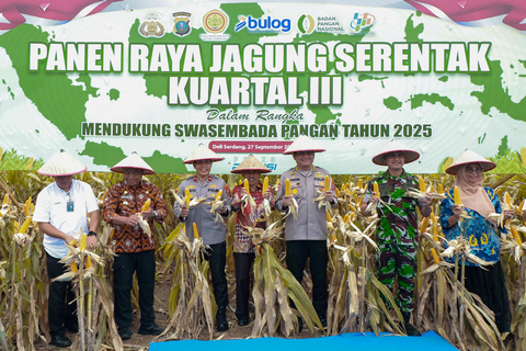 panen_jagung1.jpg