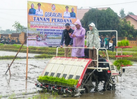 Penanaman Uji Coba IP 300 di Deli Serdang, Target 1 Ha Hasilkan 9 Ton