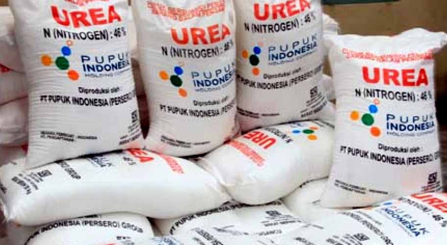 Pupuk Urea Bersubsidi Menghilang Petani Sei Bingai Mengadu ke FPG DPRDSU