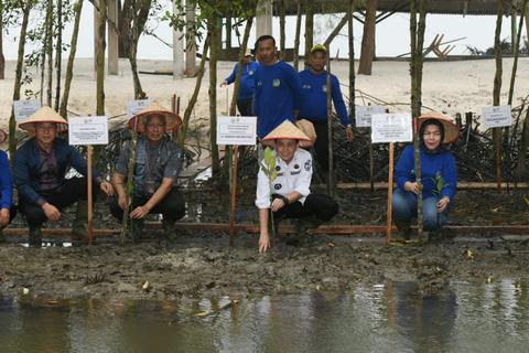 Pj Gubernur Sumut Fatoni Tanam Pohon Mangrove yang Diberkati Paus Fransiskus di Pantai Romantis