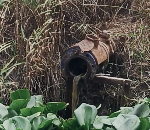 Izin Pengolahan Air Limbah PMKS PT SUJ Diduga Telah Kadaluwarsa, DLH Labuhanbatu Bungkam