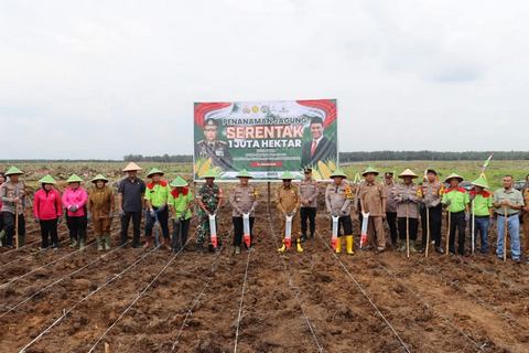 Tanam Jagung Satu Juta Hektar, Pemkab Labuhanbatu Dukung Asta Cita Presiden